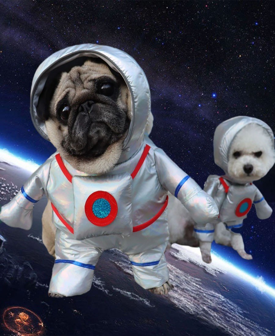Astronaut Kostyme til Hund Katteklær Halloween Kjæledyr Hundeklær