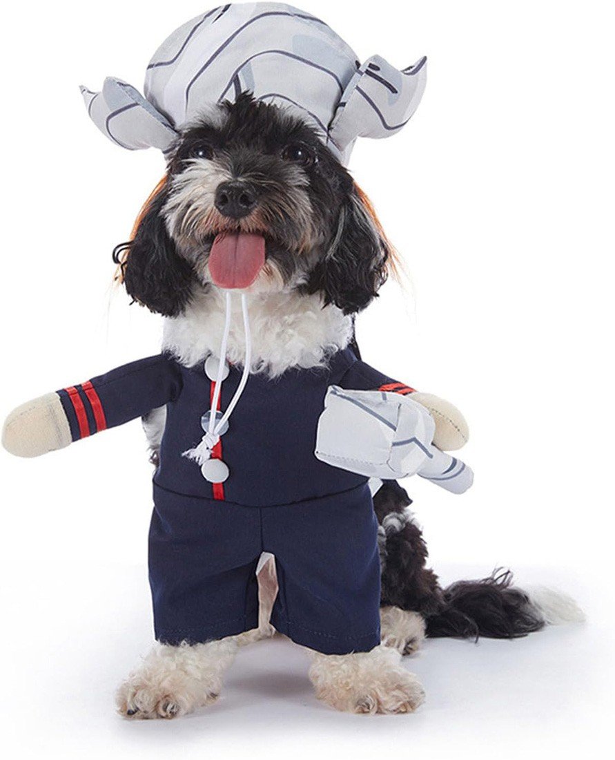 Kjæledyr Thor Kostyme Hundekostyme Katteklær Halloween Kjæledyr Hundeklær