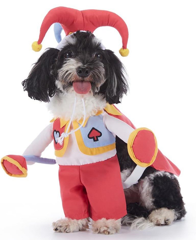 Klovn Kjæledyr Kostyme Hundeklær Katteklær Halloween Kjæledyr Hundekostyme