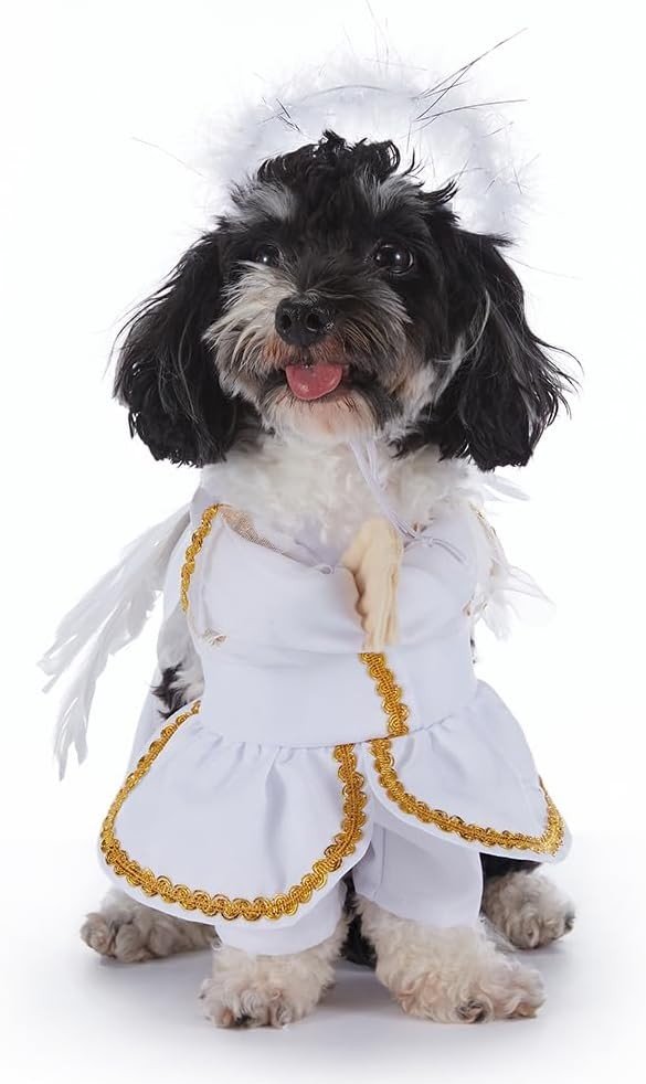Engel Kjæledyr Kostyme Hundeklær Katteklær Halloween Kjæledyr Hundekostyme