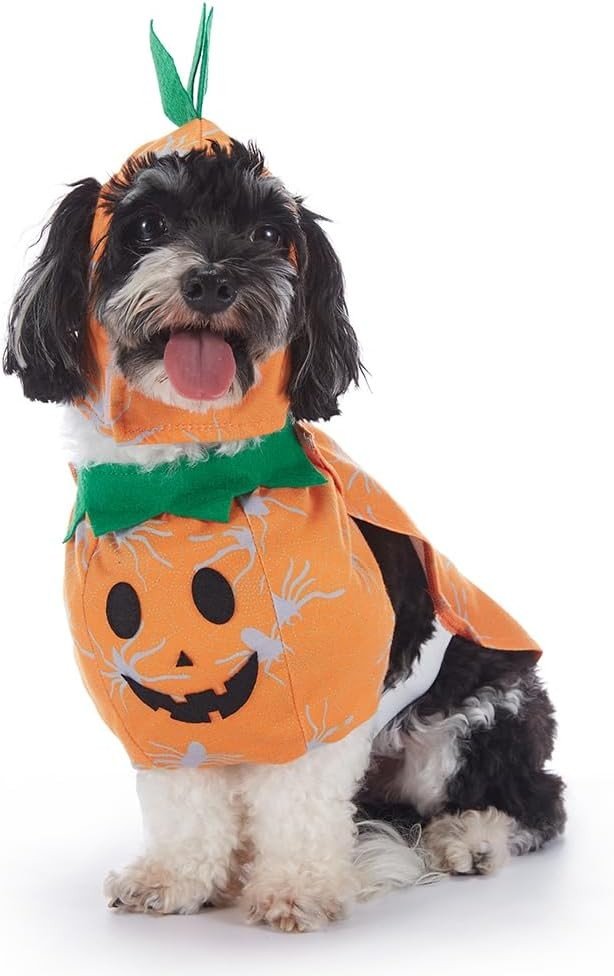 Gresskar Kjæledyr Kostyme Hundeklær Katteklær Halloween Gresskar Kjæledyr Hundekostyme