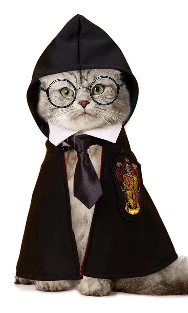 Harry Potter Kjæledyr Kostyme Hundeklær Magisk Kappe Katteklær Halloween Hunde Kappe