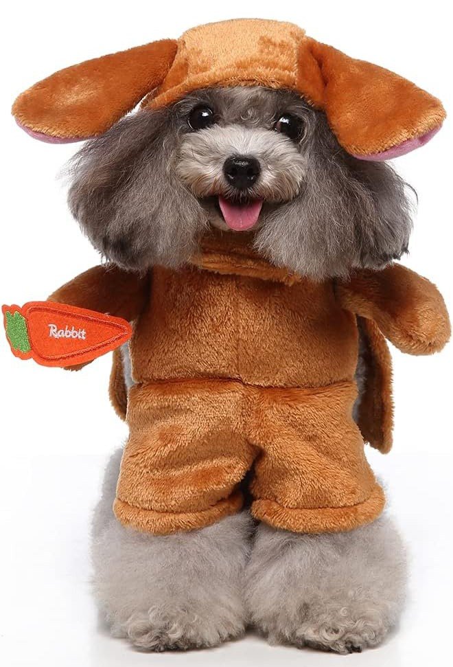 Kanin Hundekostyme Katteklær Dyrekostyme Hundeklær Halloween Karnevalskostyme til Hund
