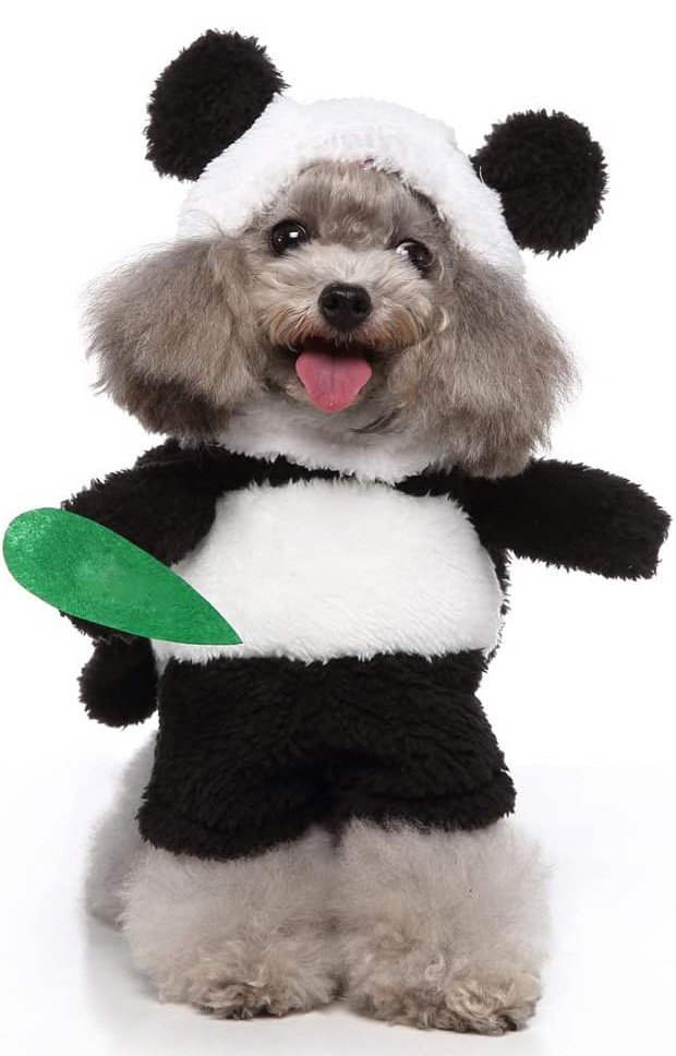 Panda Hundekostyme Katteklær Dyrekostyme Hundeklær Halloween Karnevalskostyme til Hund