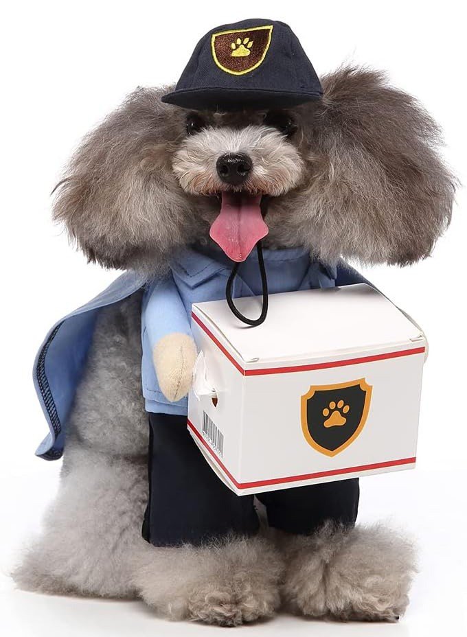 Utbringer Hundeklær Kjæledyr Katteklær Hundekostyme