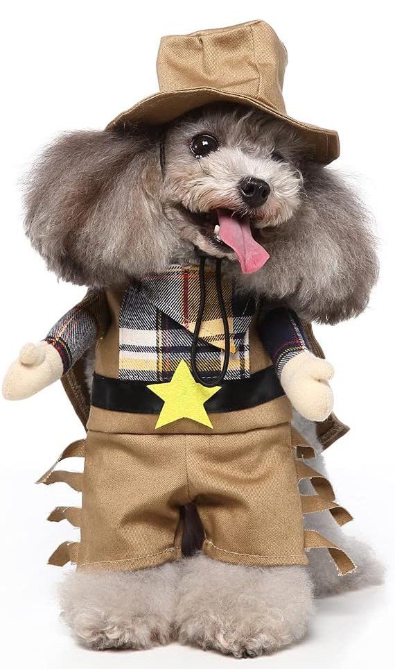 Western Cowboy Hund Kostyme Katteklær Halloween Karnevalskostyme til Hund/Katt