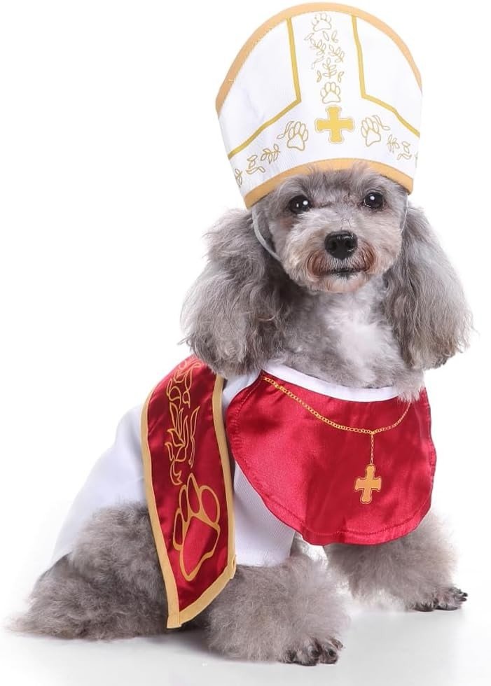 Hellig Pave Hund Kostyme Halloween Hundeklær Gudfar Katteklær Med Hatt