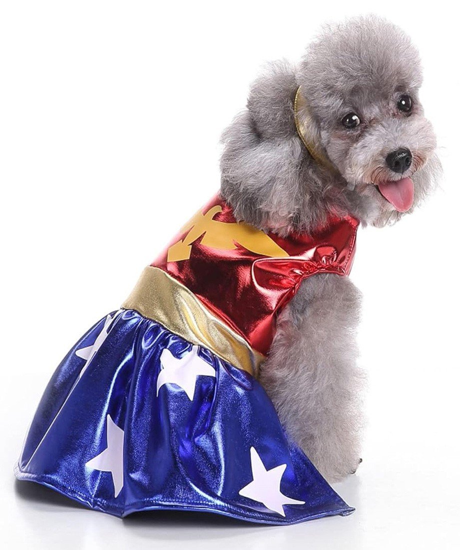 Superhelt Hund Kostyme DC Tegneserier Kjæledyr Kostyme Halloween Katteklær
