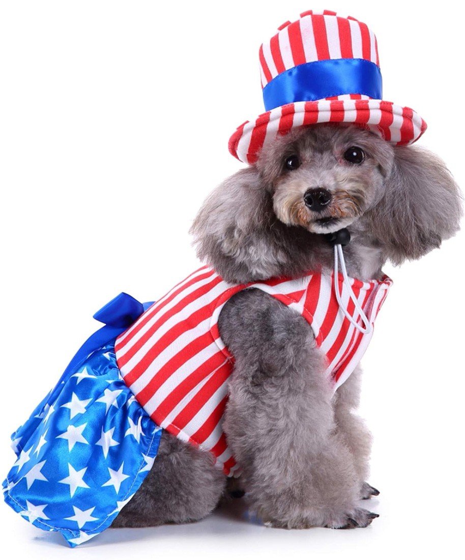USA Flagg Hund Kostyme For Jenter Ferie Katteklær Med Hatt Hundeklær