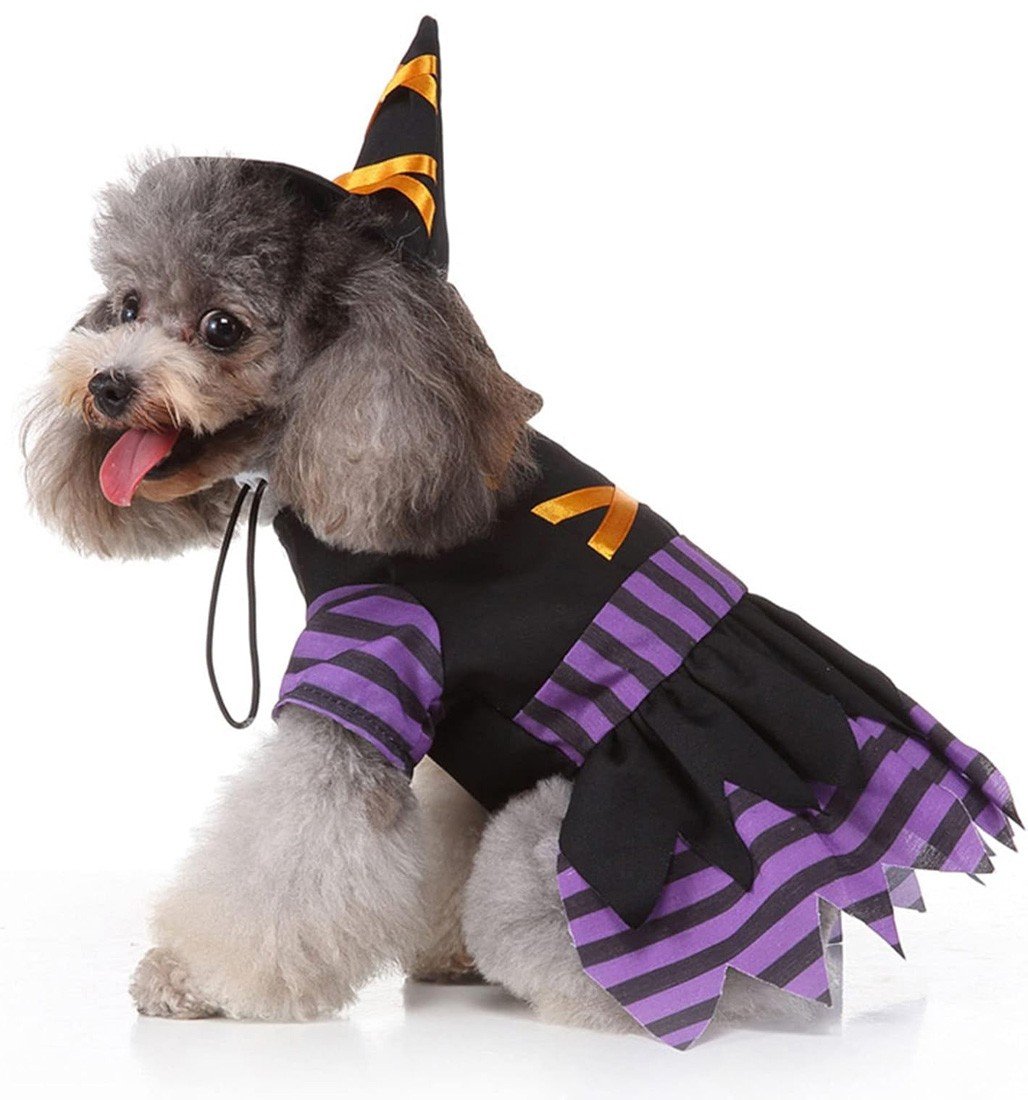 Heks Hund Kostyme Halloween Hundeklær Katteklær Lilla