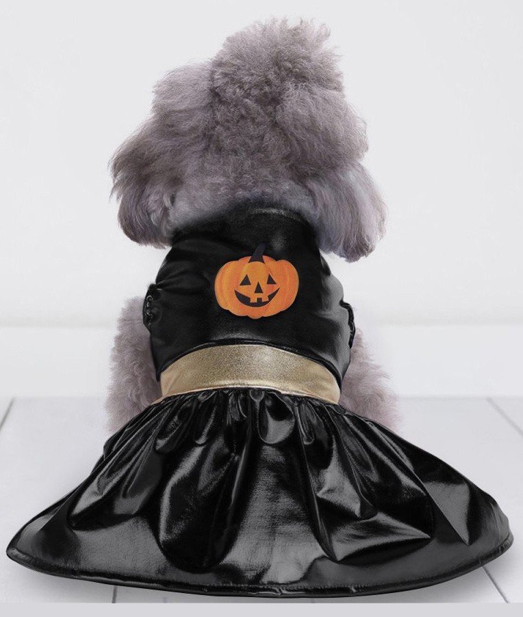Halloween Heks Hund Kostyme Gresskar Hundeklær Katteklær