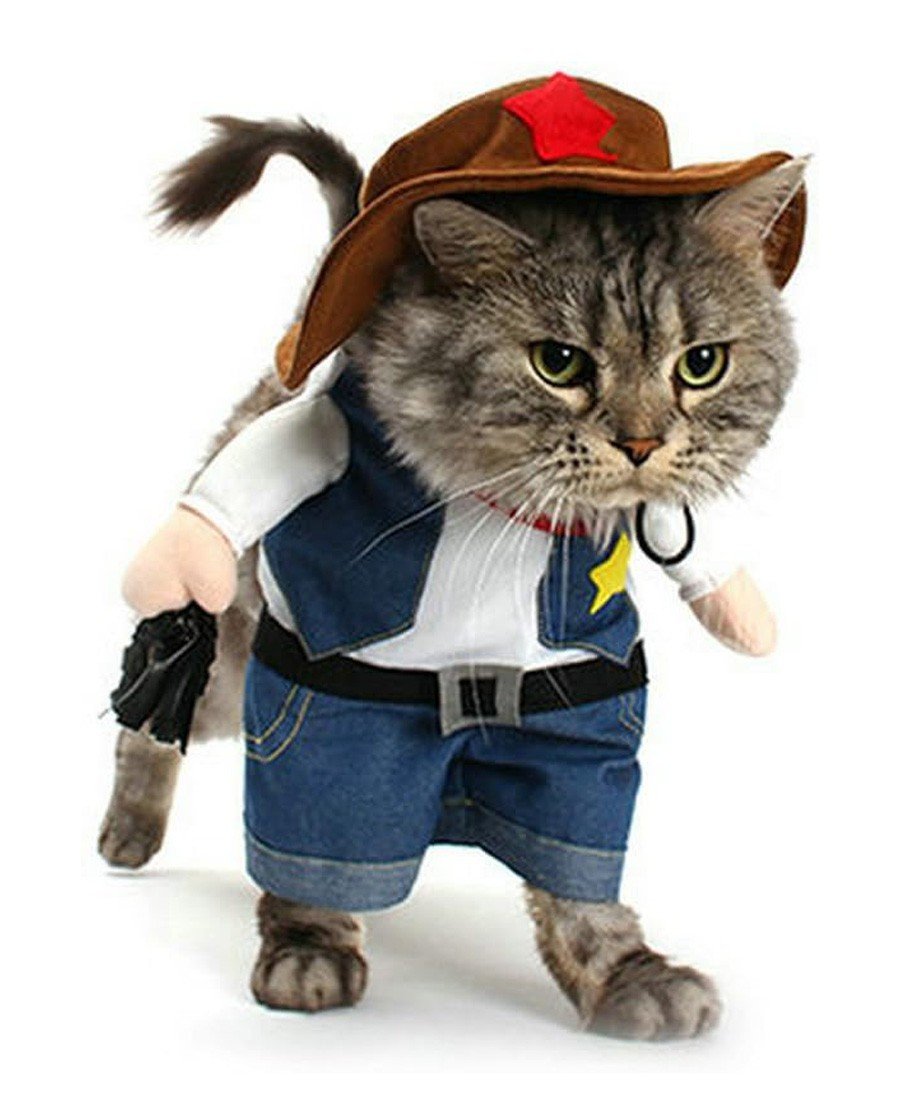 Kjæledyr Cowboy Kostyme til Hund Katteklær Halloween Kjæledyr Hundeklær
