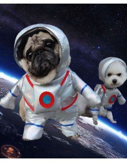Astronaut Kostyme til Hund Katteklær Halloween Kjæledyr Hundeklær
