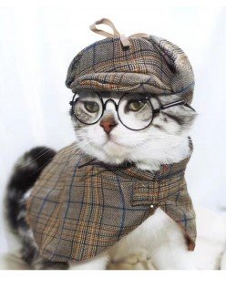 Sherlock Holmes Detektiv Kjæledyr Kostyme til Hund Katteklær Cosplay Hundeklær