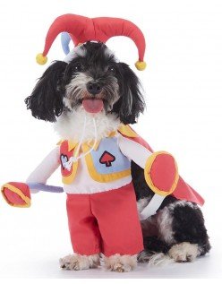Klovn Kjæledyr Kostyme Hundeklær Katteklær Halloween Kjæledyr Hundekostyme