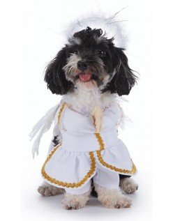 Engel Kjæledyr Kostyme Hundeklær Katteklær Halloween Kjæledyr Hundekostyme