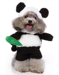 Panda Hundekostyme Katteklær Dyrekostyme Hundeklær Halloween Karnevalskostyme til Hund