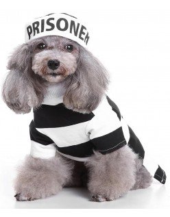 Fange Hund Kostyme Katteklær Halloween Cosplay Straffedømt Uniform for Hund/Katt