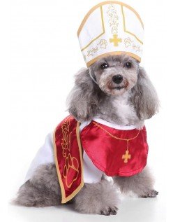 Hellig Pave Hund Kostyme Halloween Hundeklær Gudfar Katteklær Med Hatt
