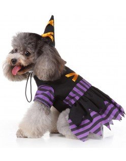 Heks Hund Kostyme Halloween Hundeklær Katteklær Lilla