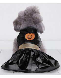 Halloween Heks Hund Kostyme Gresskar Hundeklær Katteklær