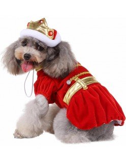 Konge Hundkostyme Rød Hund Prins Kostyme Morsom Fest Katteklær