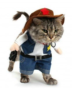 Kjæledyr Cowboy Kostyme til Hund Katteklær Halloween Kjæledyr Hundeklær