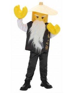 Lego Sensei Wu Barnekostyme Ninjago Halloween Ninjakostyme